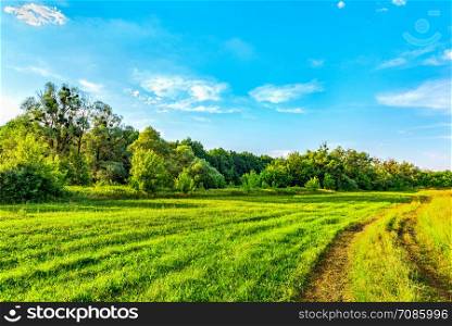 Country road through bright green meadow in forest. Country road on meadow