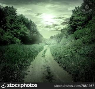 Country road through the forest at twilight