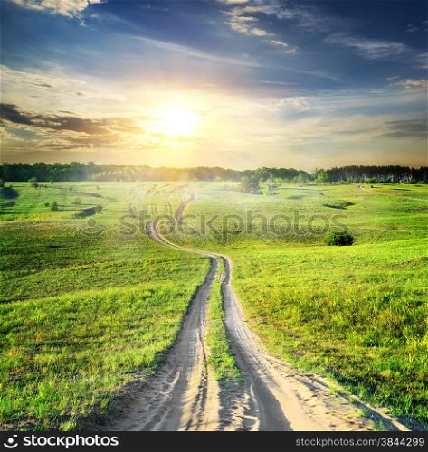 Country road through the green spring field