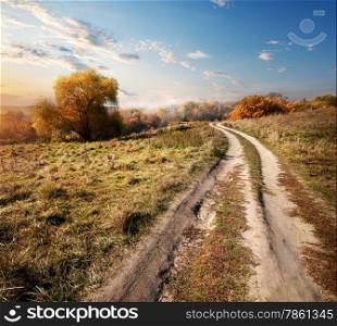 Country road to the forest in autumn