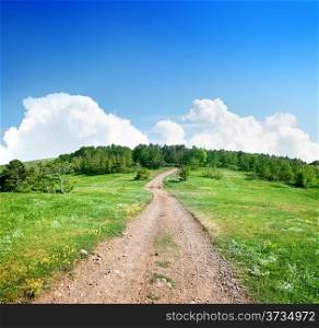 Country road to the forest in spring day