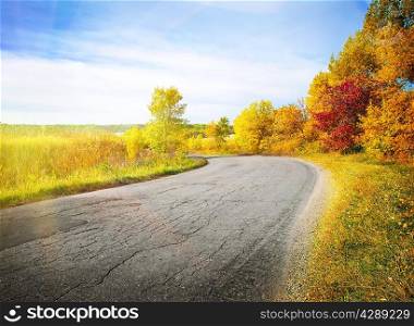 Country road winding among yellow autumn trees under the bright sun