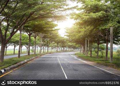 country road with peaceful landscape for travel. Transport road way to rural.