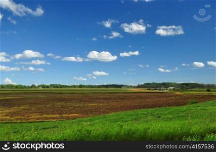 country summer landscape with cloudy sky