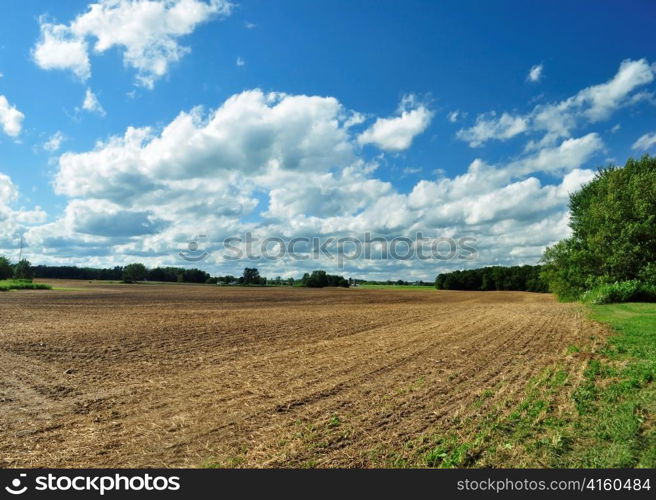 country summer landscape with cloudy sky