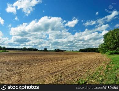 country summer landscape with cloudy sky
