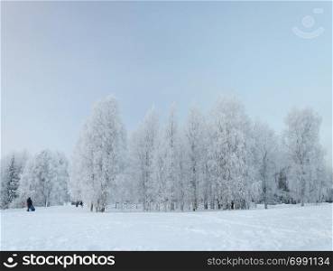 "Country winter landscape, birch trees covered with hoarfrost. People walking in tourist complex "Malye Korely" near Arkhangelsk, Russia."