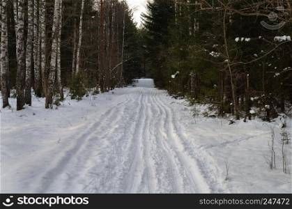 Country winter landscape. Ski tracks through the forest. Vladimir region, Russia.