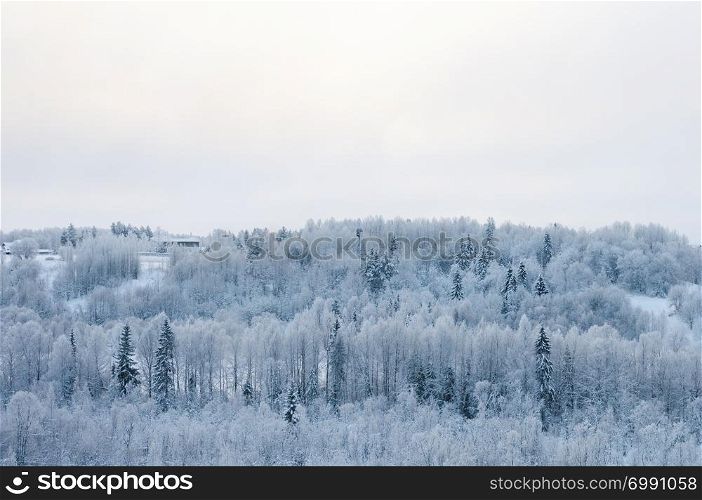 Country winter landscape, upper view of snowy forest near Malye Korely village, Arkhangelsk region, North Russia