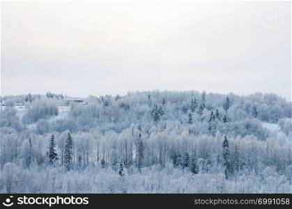 Country winter landscape, upper view of snowy forest near Malye Korely village, Arkhangelsk region, North Russia