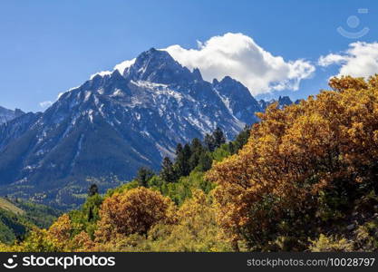 Countryside fall season in Colorado, United States  