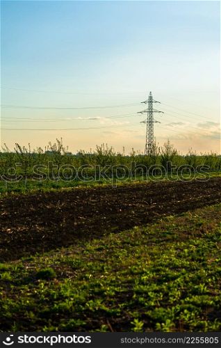 Countryside farming land. Land prepared for farming. Agriculture concept