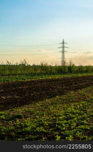 Countryside farming land. Land prepared for farming. Agriculture concept