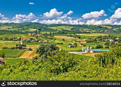 Countryside farmland green scenery in Croatia, region of Prigorje