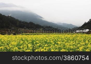 countryside in China