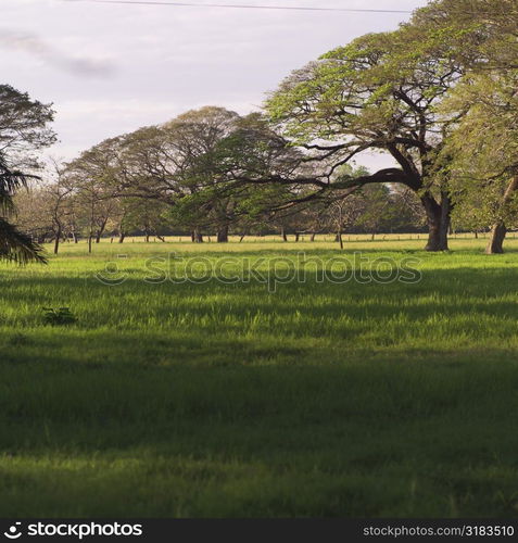 Countryside in Costa Rica