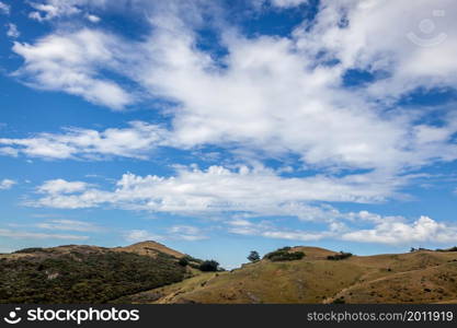 Countryside in the Otago Peninsula of New Zealand
