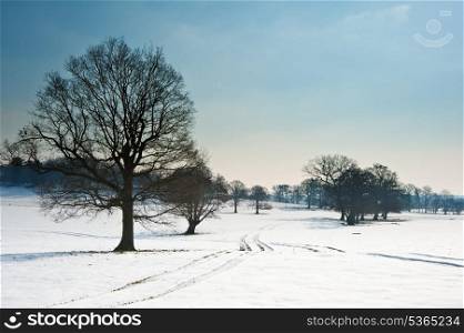 Countryside landscape across rural setting with Winter snow on ground and bright blue sky background