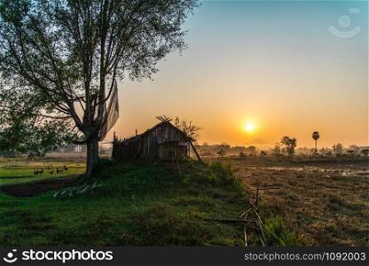 Countryside landscape field and grass sunrise beautiful morning with tree rural and old henhouse in agriculture farm