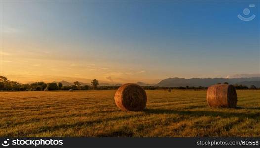 Countryside landscape.Hay bales on field at golden sunset. Rural scene.