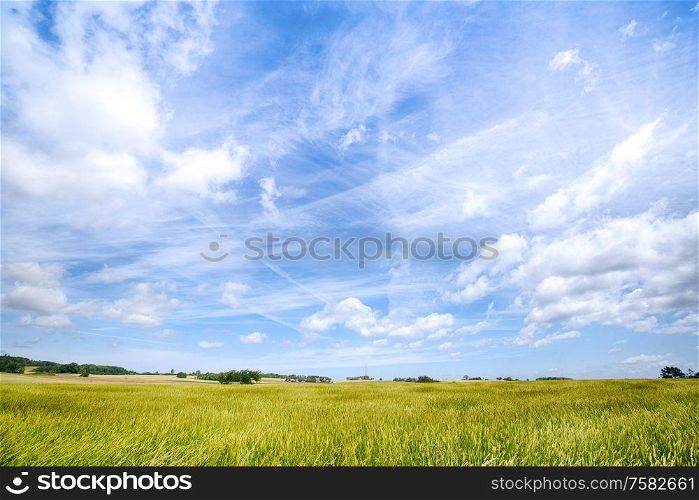 Countryside landscape with a dramatic blue sky and fresh green crops on a rural field