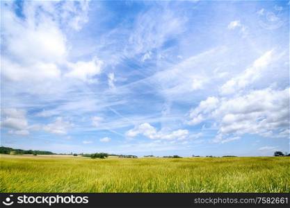 Countryside landscape with a dramatic blue sky and fresh green crops on a rural field