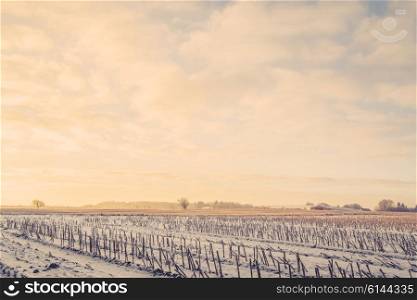 Countryside landscape with crops on a field in the wintertime
