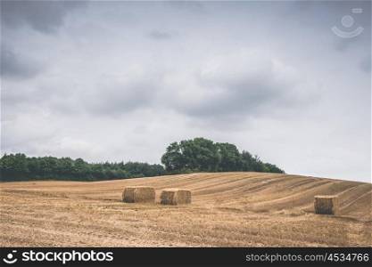 Countryside landscape with hay bales on a harvested field in cloudy weather