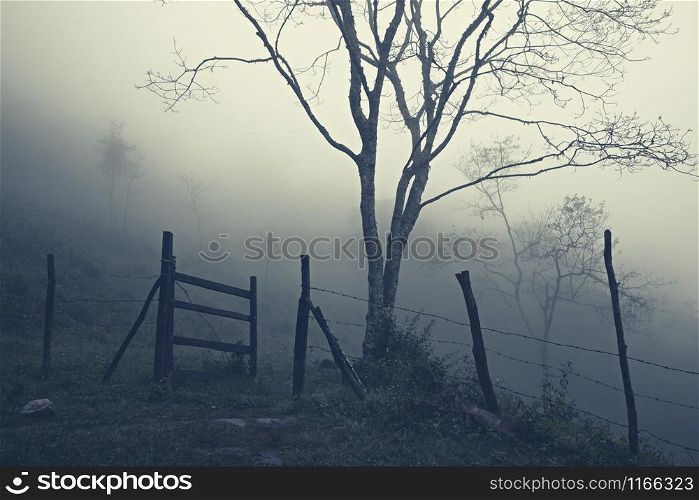 Countryside landscape with misty mountain slopes. Barbed wire fence and gate on foreground. Mexico, Huasteca Potosina, Aquismon