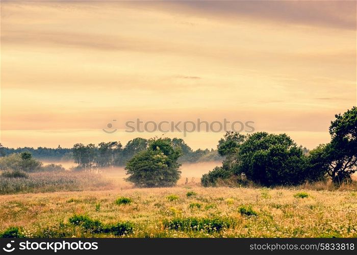 Countryside landscape with misty weather