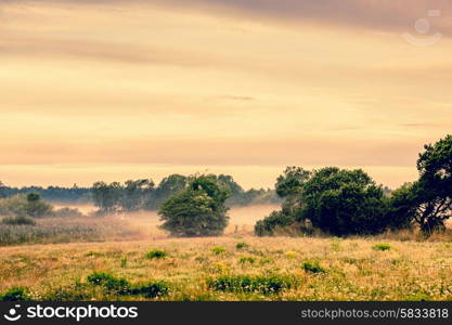 Countryside landscape with misty weather