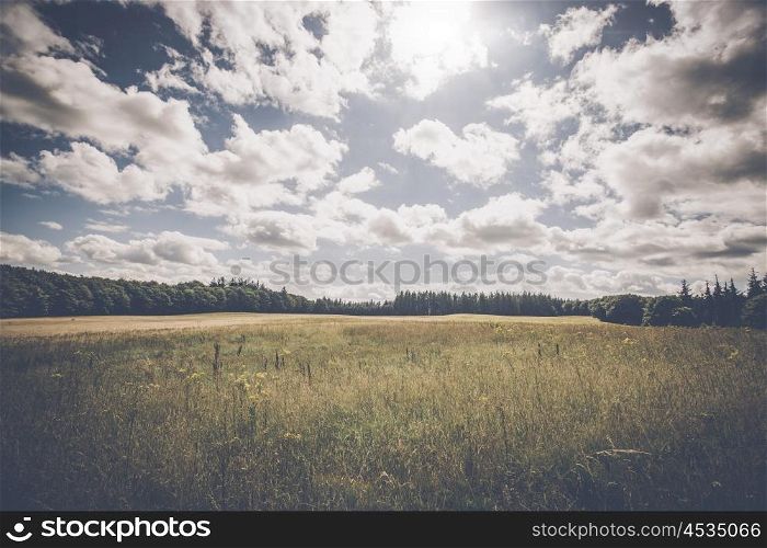 Countryside landscape with plains of flowers and cloudy weather