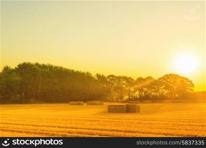 Countryside landscape with straw bales in the summer