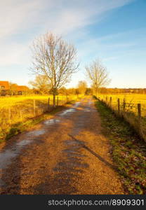 countryside lane field blue sky fields bare trees; essex; england; uk