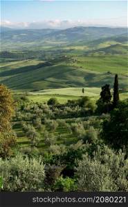 Countryside of Val d&rsquo;Orcia near Pienza in Tuscany