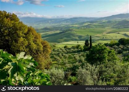 Countryside of Val d&rsquo;Orcia near Pienza in Tuscany