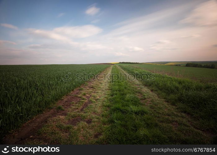 Countryside road at sunset