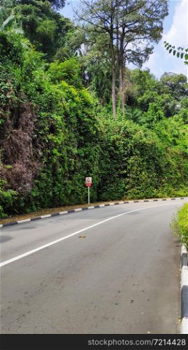 Countryside road curve with line to the mountains green tree forest on roadside