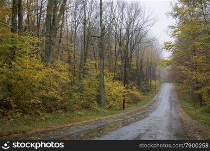 Countryside road in Autumn Foliage, Connecticut, USA