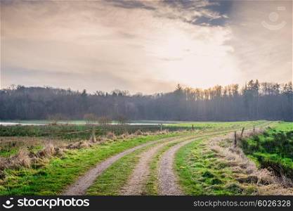 Countryside road on a field in the sunset