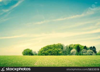 Countryside scenery with green fields and trees