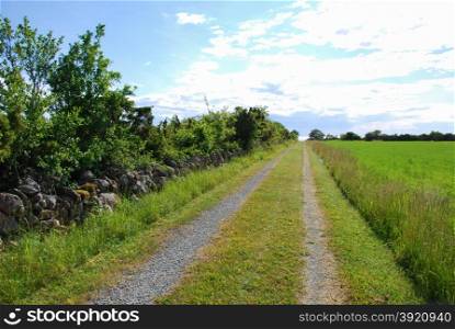 Countryside tracks by a stone wall at the swedish island Oland