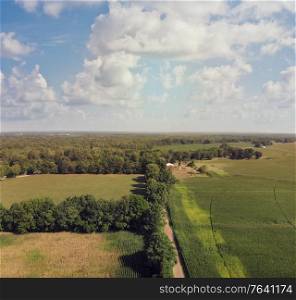 Countryside with farm fields and a dirt road. Aerial view.Summer landscape.