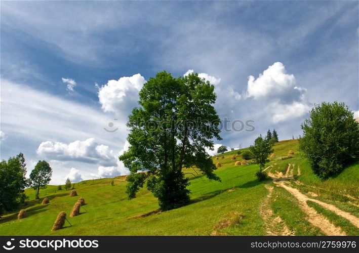 countryside with trees and hay pile in the meadow