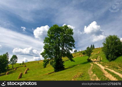 countryside with trees and hay pile in the meadow