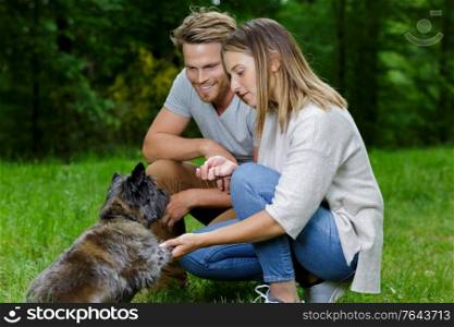couple and their dog playing in the park