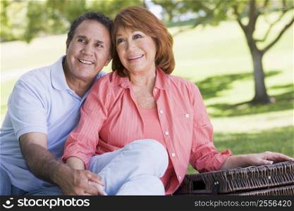 Couple at a picnic holding hands and smiling