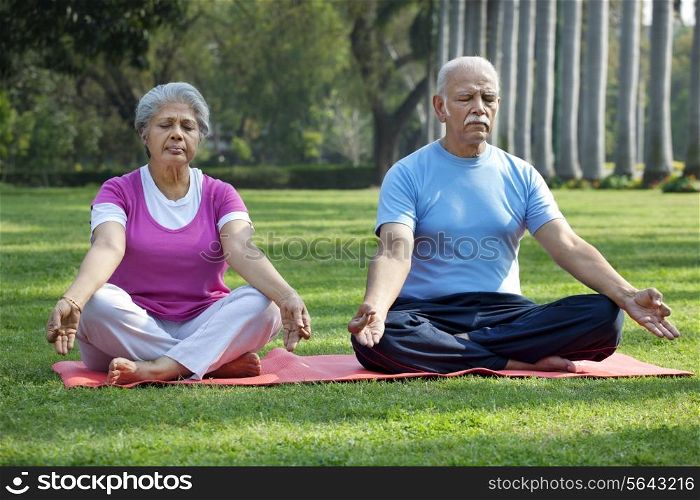 Couple at park meditating