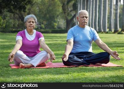 Couple at park meditating
