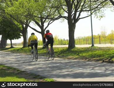 Couple bicycling in a summer park
